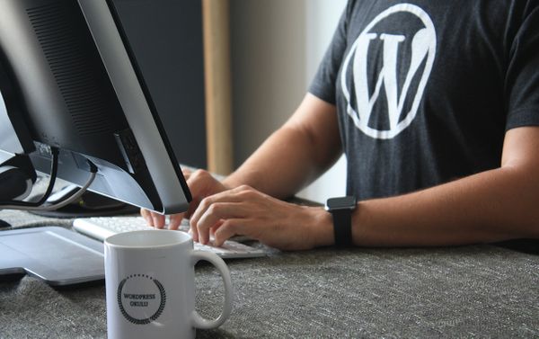 Почему Wordpress — самая популярная CMS в мире. История развития и технические возможности